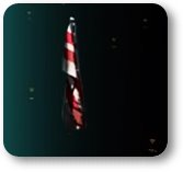 ディビジョン2ワシントンDC旗