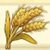 のび太の牧場物語小麦