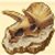 のび太の牧場物語トリケラの化石