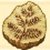 のび太の牧場物語シダ植物の化石