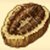 のび太の牧場物語三葉虫の化石