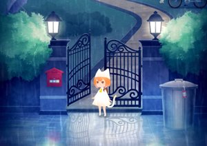 迷い猫の旅