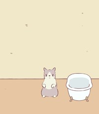 風呂猫とスープ