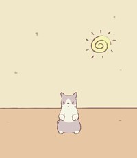 太陽猫とスープ