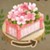 桃色の花の植木鉢猫と秘密