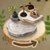 大理石キャティオ猫と秘密の森